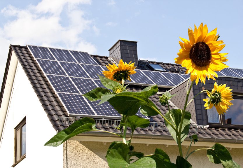 Solar panels by SolarCity