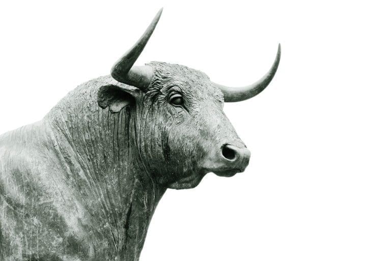 Bull statue on Wall Street