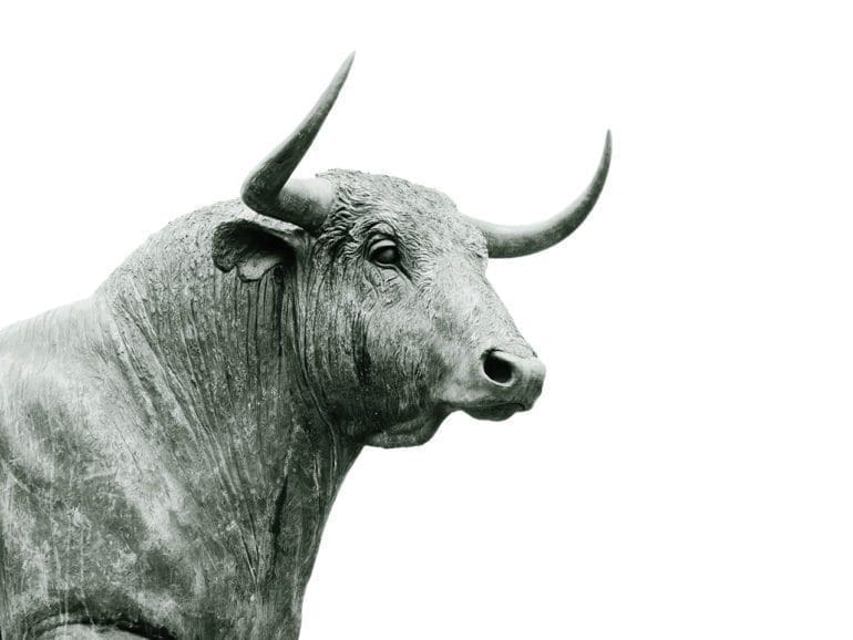 Bull statue on Wall Street