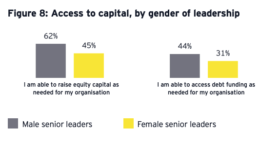 graph showing disparity between men and women for access to capital