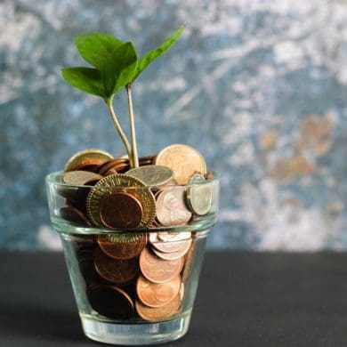 plant growing out of money