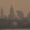 Photoshop of Godzilla walking through NYC in the smoke